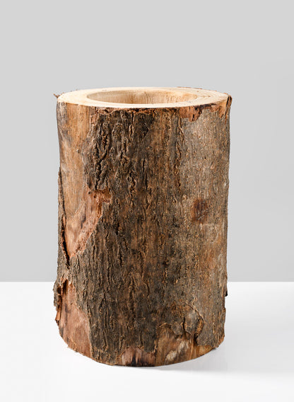 12in Paulownia Wood Tree Trunk Vase