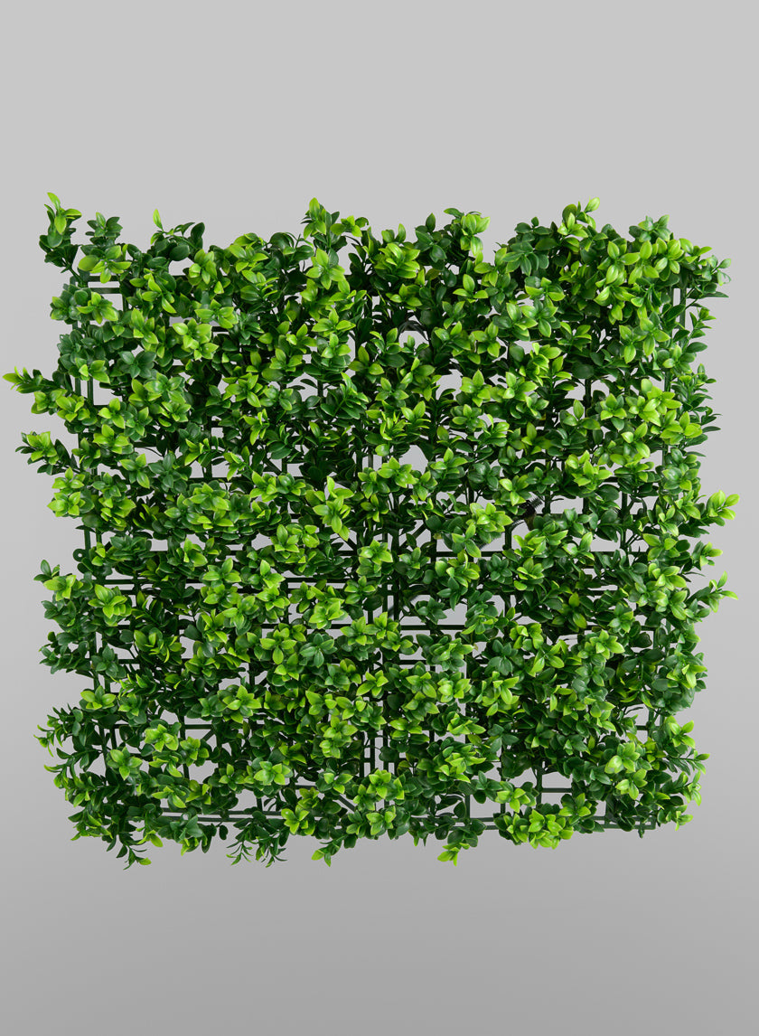 20in Long Square Mature Boxwood Mat (Indoor/Outdoor)