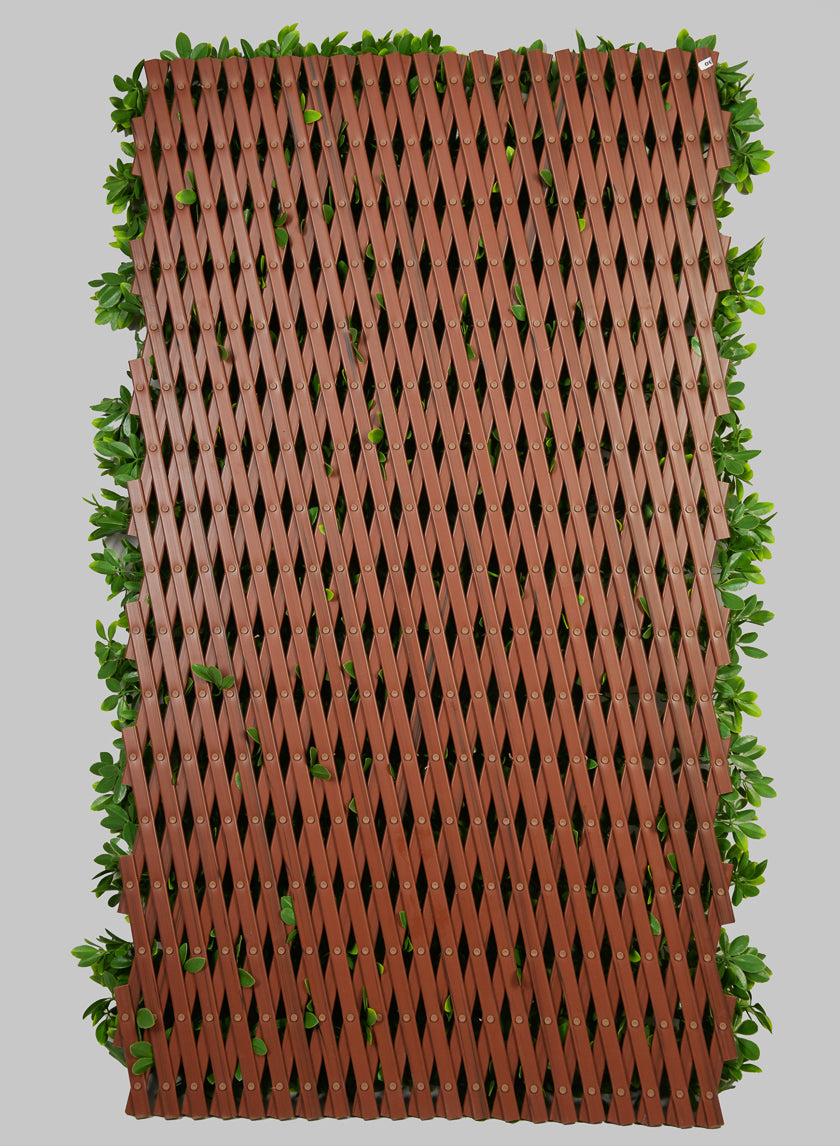 80in Long Boxwood Accordion Expending Trellis (Indoor/Outdoor)