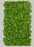 40in x 80in boxwood Accordion expeding trellis  (indoor/outdoor)