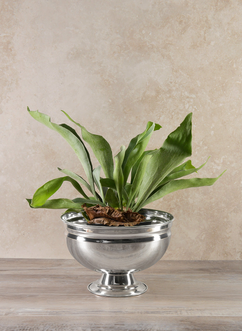 Silver Pedestal Bowls