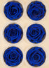 Preserved Deep classy Blue Roses