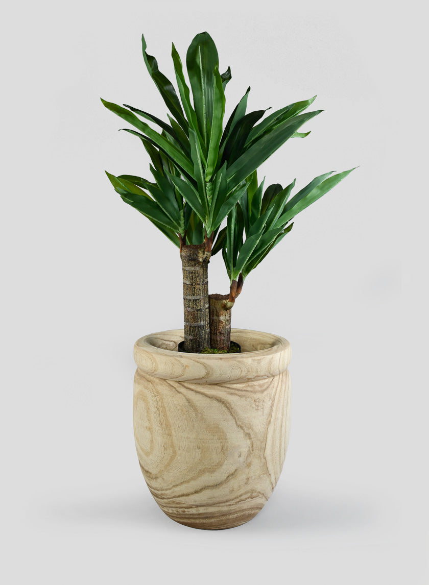 35in Artificial Dracaena