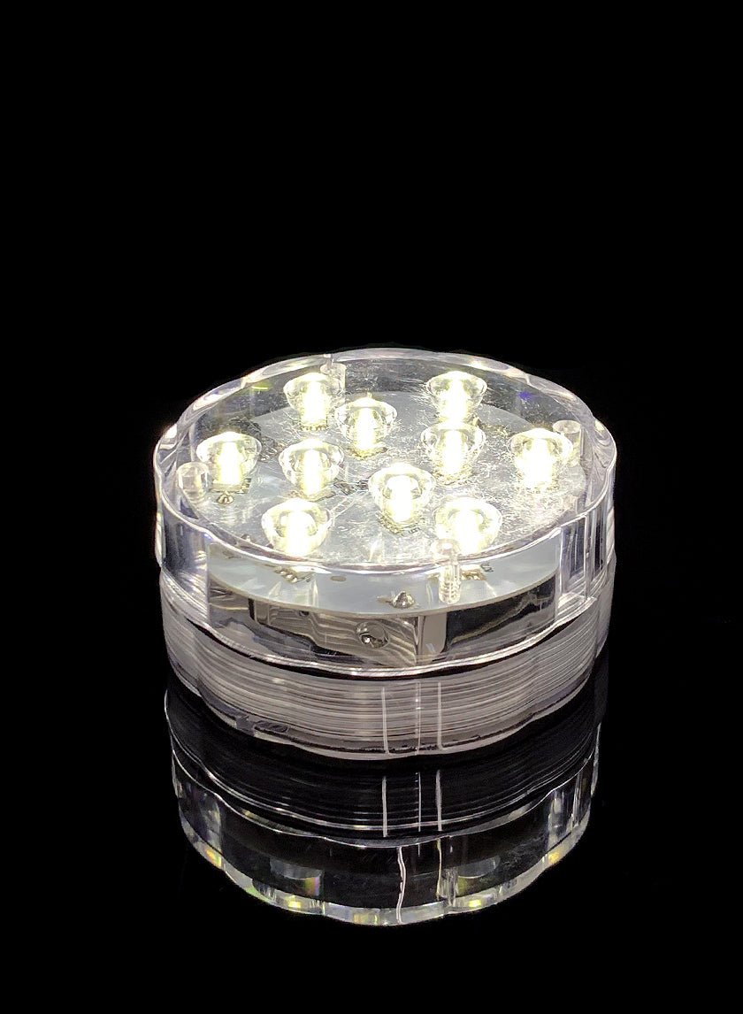 Submersible Cool White LED Light With Remote