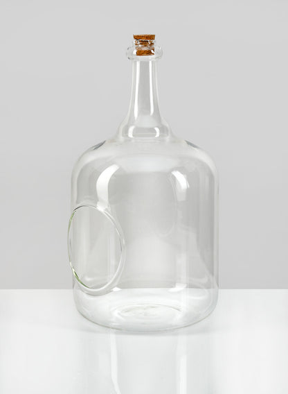 Large Rio Bottle Terrarium