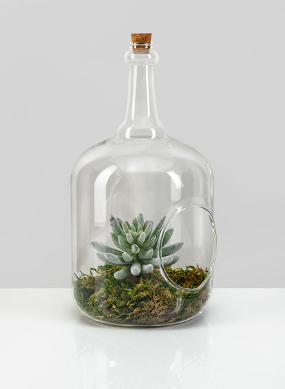 Large Rio Bottle Terrarium