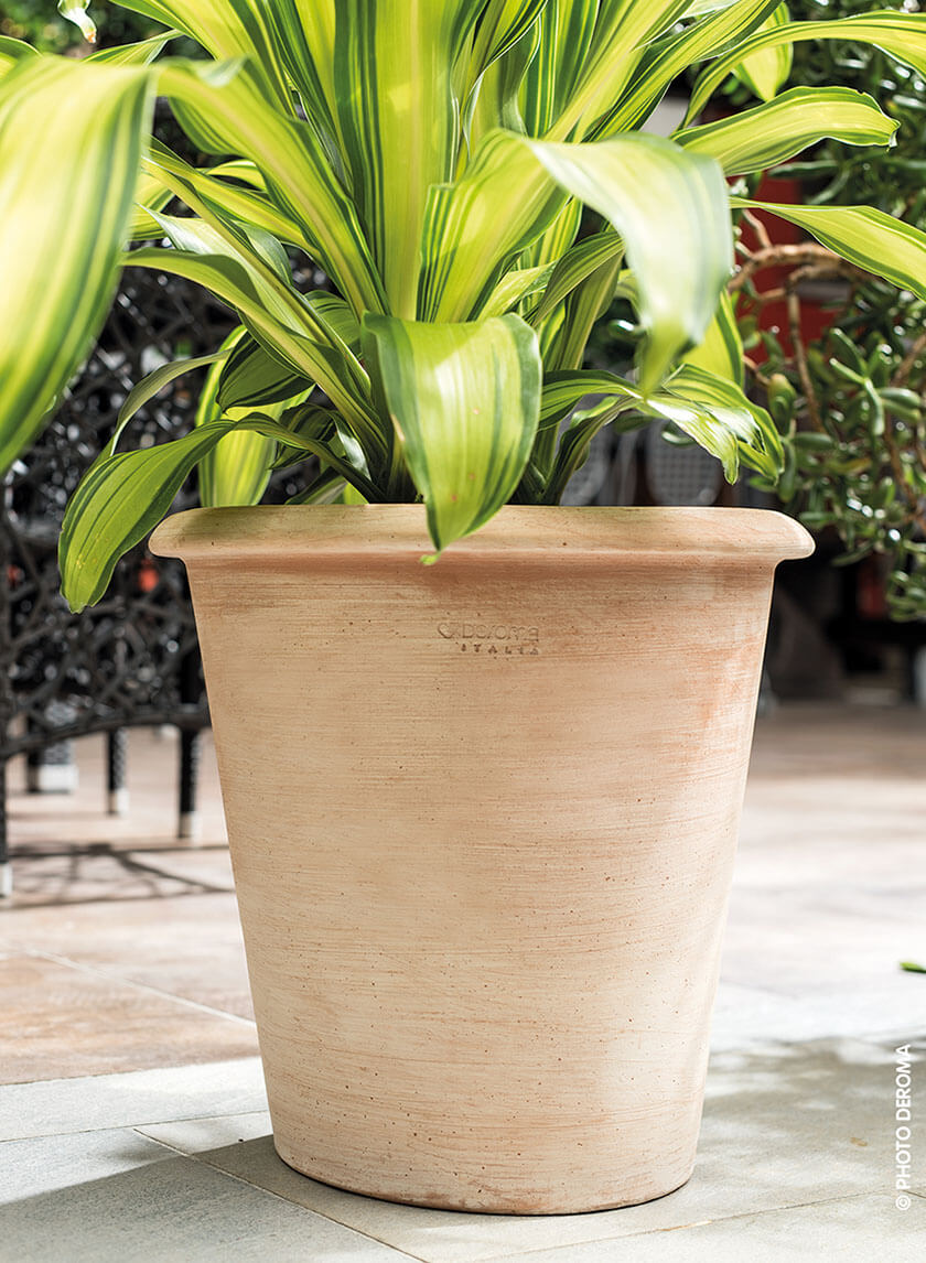 Siena Cone Terracotta Pots