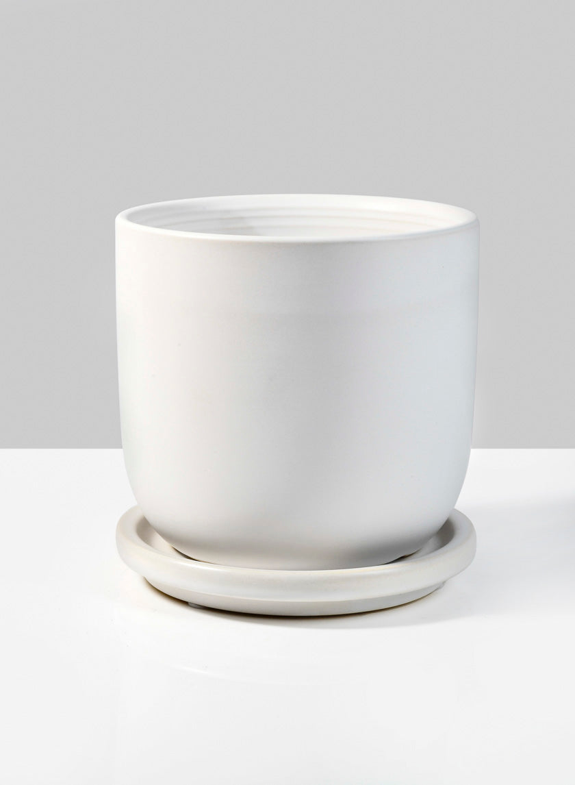 4  1/2in Marble Aeon Ceramic Pot &amp; Saucer