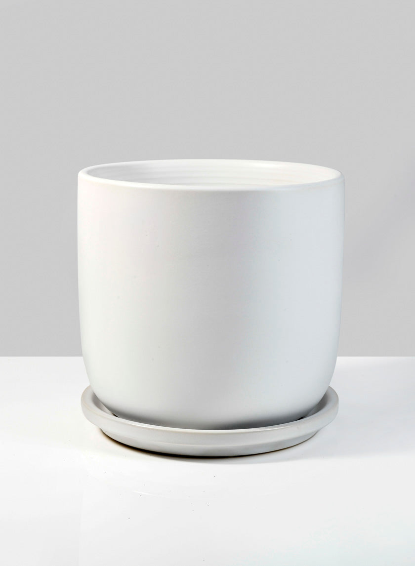 6in Marble Aeon Ceramic Pot &amp; Saucer