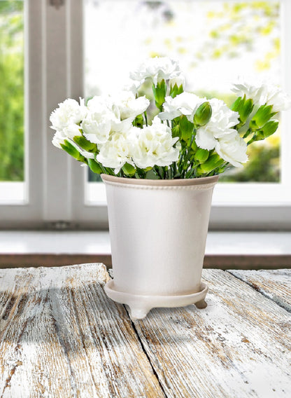 6in Crackled White Ceramic Pot &amp; Saucer