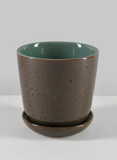 5in Cobra black Dotted green pot