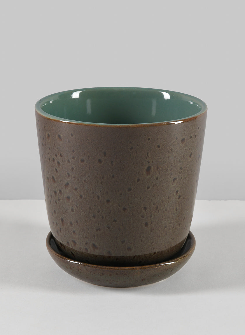 5in Cobra black Dotted green pot