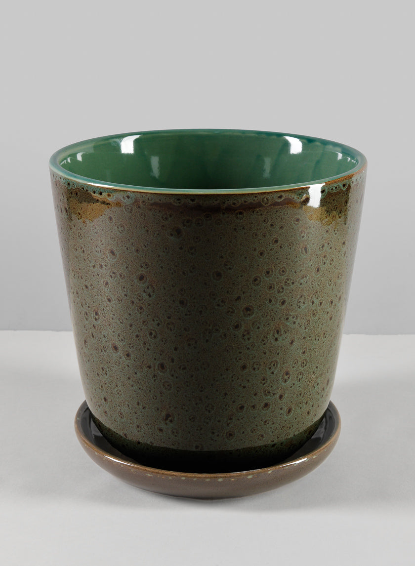 8in Cobra black Dotted green pot