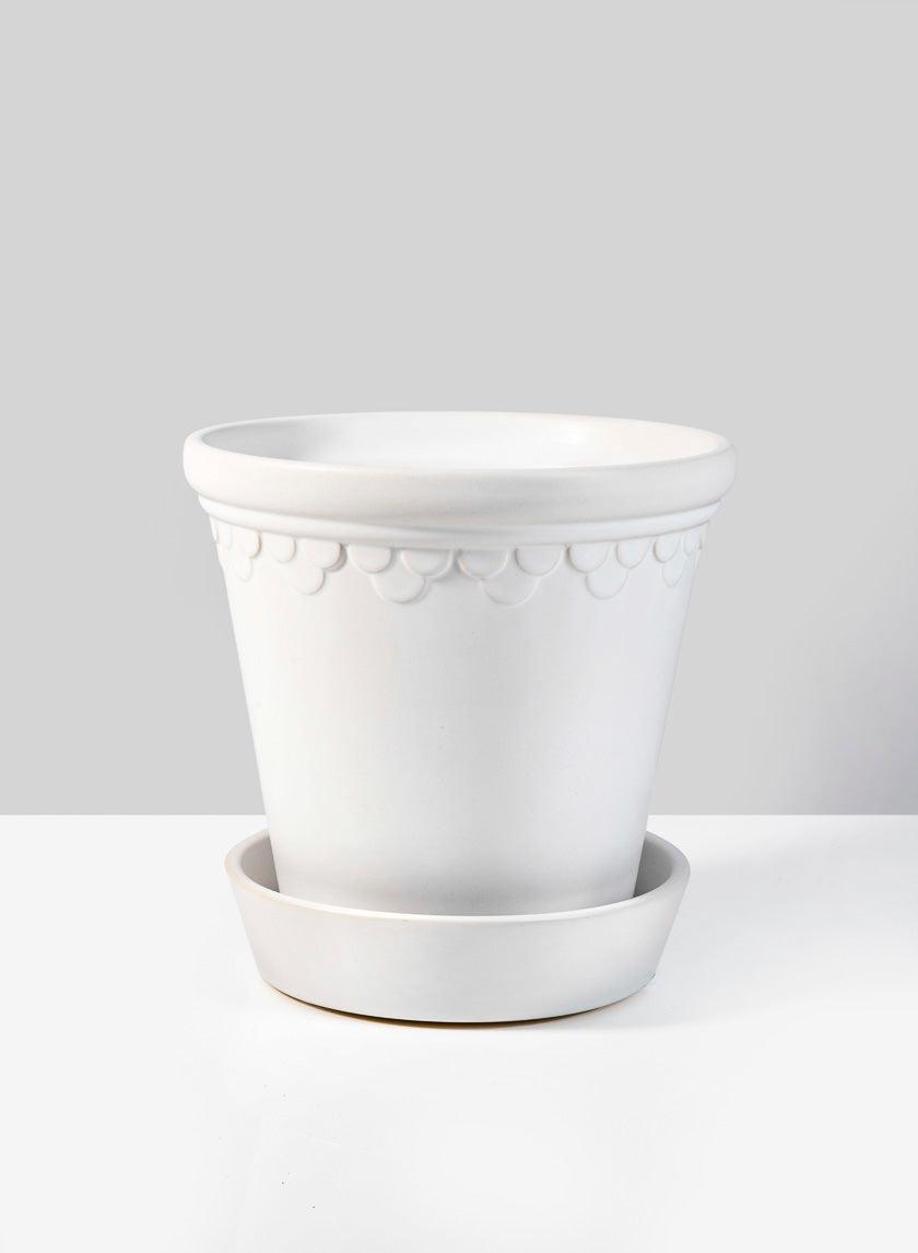 6in Marble Relief Ceramic Pot &amp; Saucer