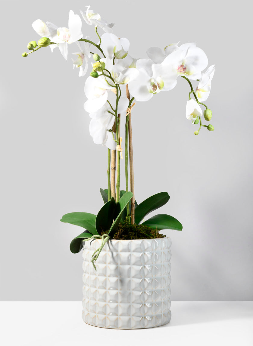 7  1/2in White Ceramic Studs Vase