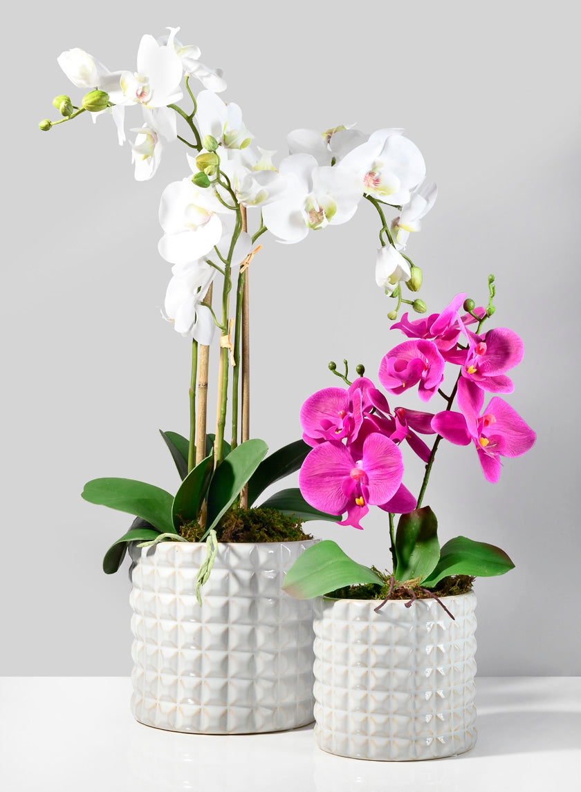 5  3/4in White Ceramic Studs Vase