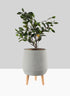 16  1/2in Breakers Grey Ceramic Planter With Wood Legs