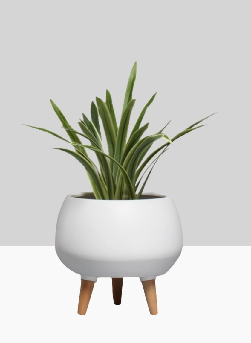 9  1/2in Breakers Matte White Ceramic Planter With Wood Legs