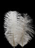 6 - 8in White Mini Ostrich Feather