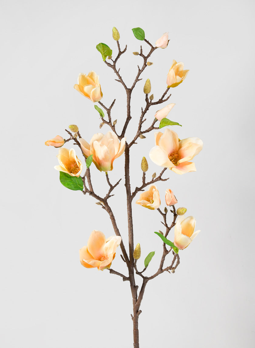 42in Peach Magnolia Blossom Branch