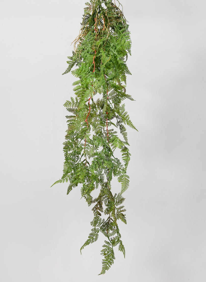 44in Rooted Rainforest Fern Hanging