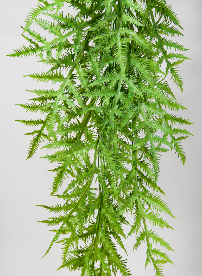 50in Tropical Fern Hanging