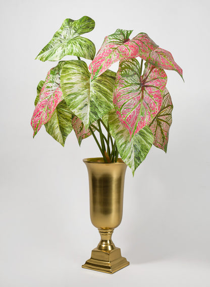 5 Leaf Variegated Caladium Stem