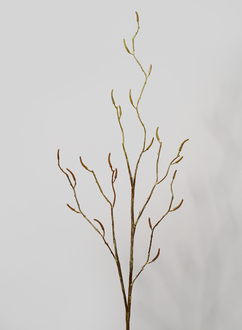 48in Birch Branch with Catkins