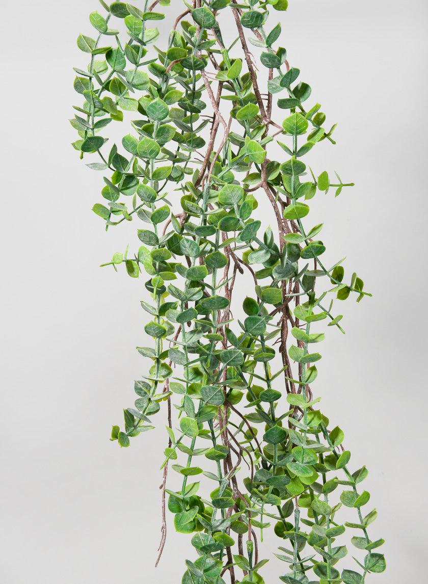 55in Woody Eucalyptus Garland