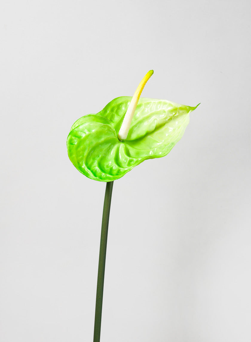 27in Anthurium Spray, Green