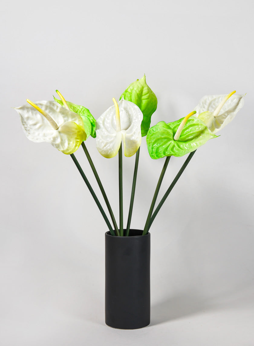 27in Anthurium Spray, White