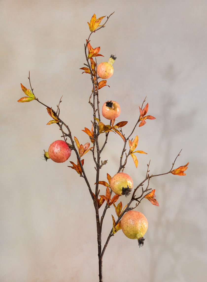 38in Early Fall Young Pomegranate Branch