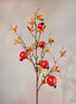 38in Late Fall Young Pomegranate Branch