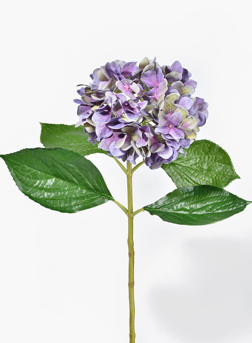 28in Antique Purple Hydrangea