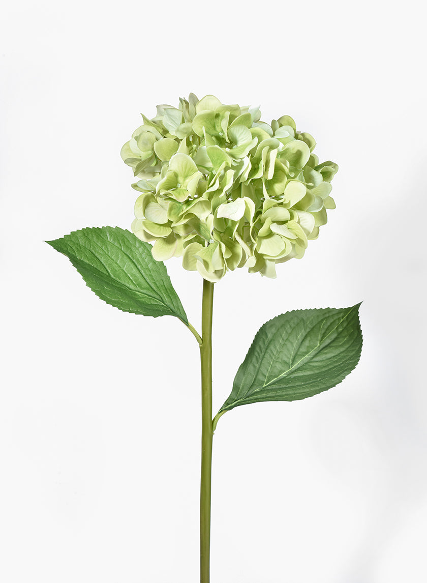 27in Antique Green Hydrangea