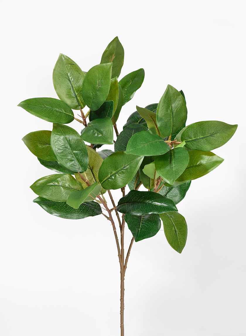 25in Green Magnolia Leaf Spray