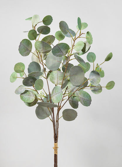 32in Silver Dollar Eucalyptus Pick