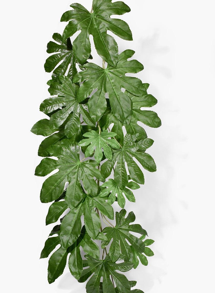 52in Fatsia Japonica Leaf Vine