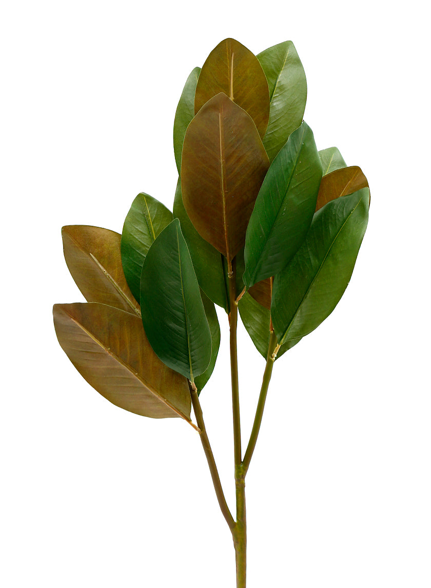 39in Magnolia Leaf Spray