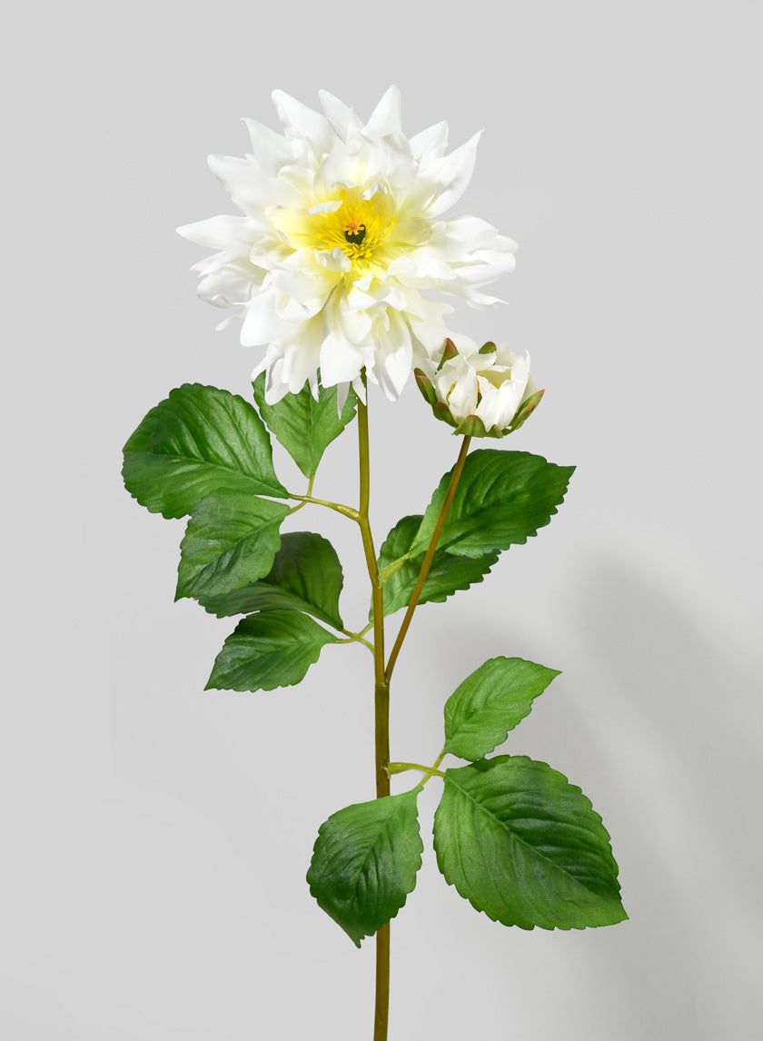 29in White Dahlia Stem