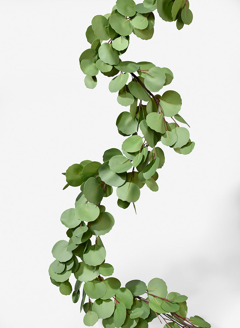 63in Silver Dollar Eucalyptus Garland