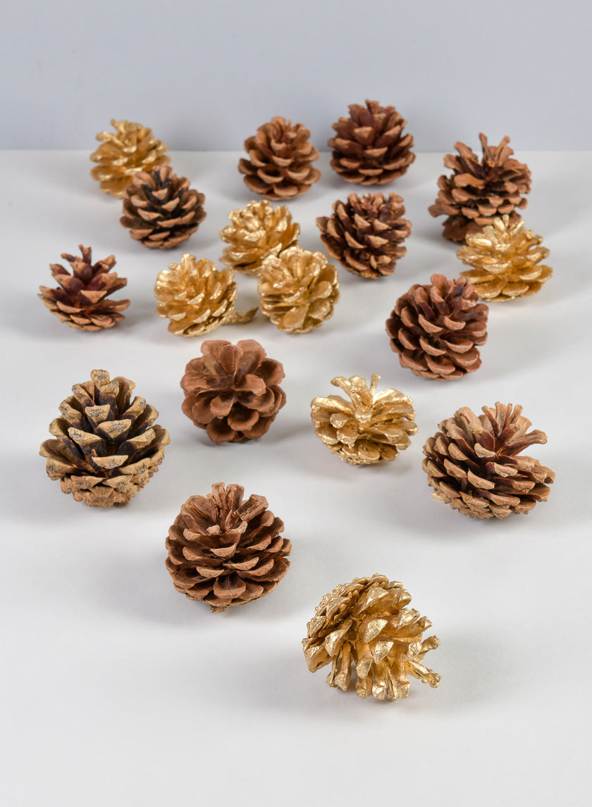 Bag of Assorted 18 Pinecones