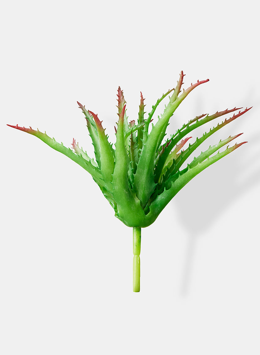 9in Aloe Pick