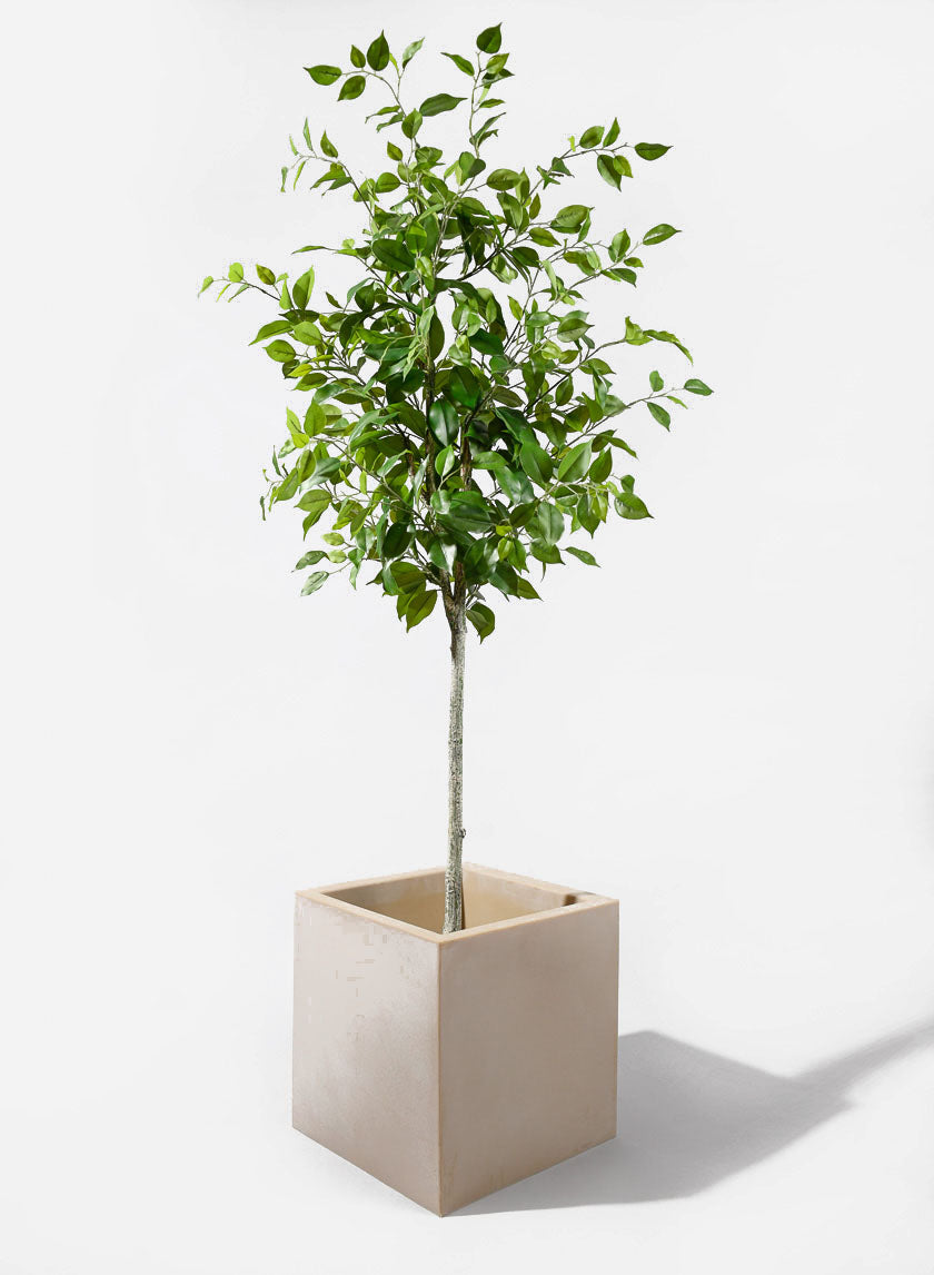 16in Antique White Stone Cuadro Planter