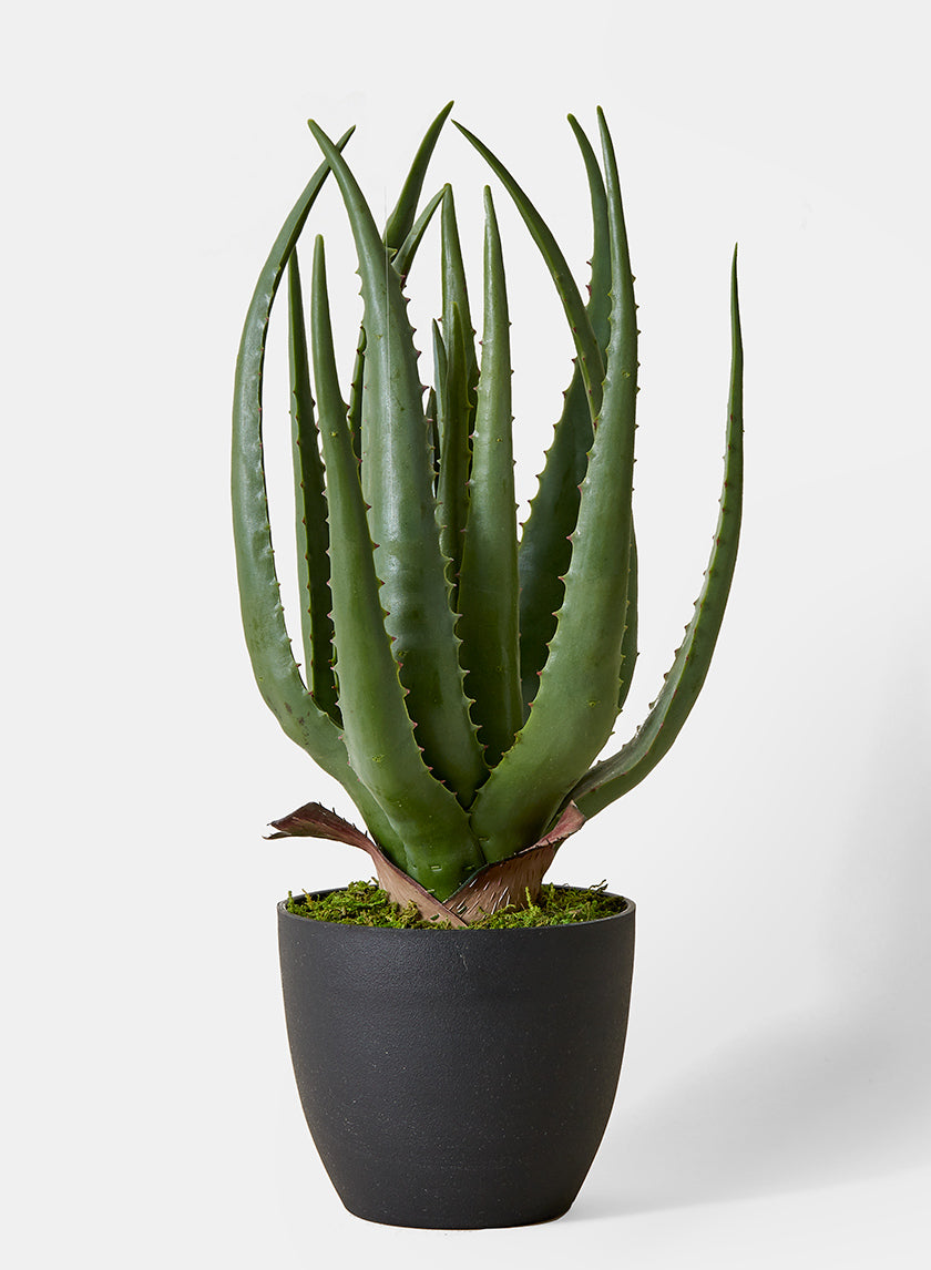 18in Faux Aloe Plant In Pot