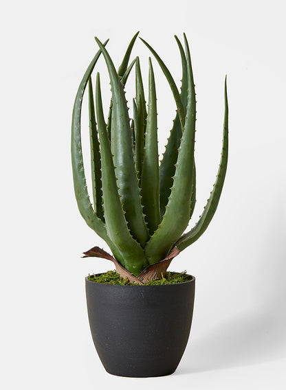 18in Faux Aloe Plant In Pot