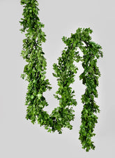 6ft Boxwood Garland