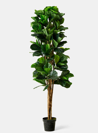 6ft Artificial Fiddle Leaf Fig Tree