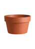 6 Â¾in, 8 Â¼in, & 10 Â½in Azalea Clay Pots