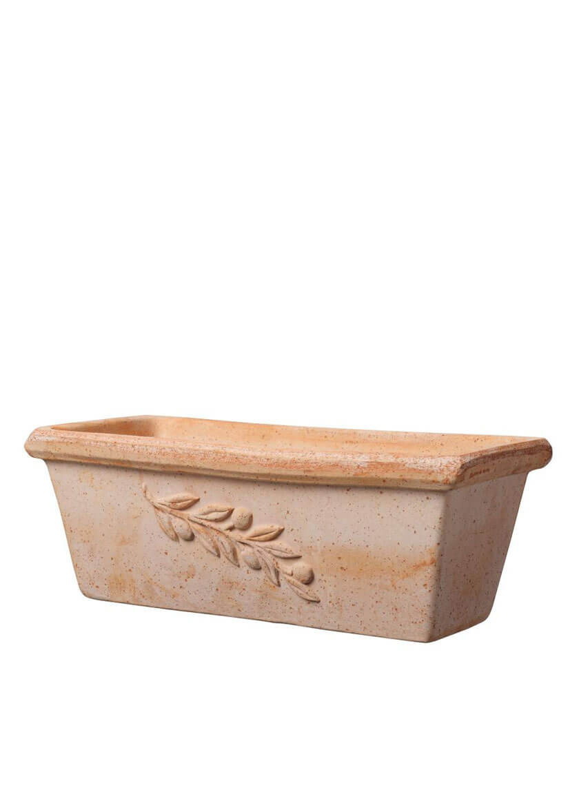 Cassetta Olive Flower Box, 12in